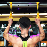 Fitactic Upgraded 1 Pair Eagle Loops Grip for Finger Thumb Hand Wrist Forearm Arm Strengthening Training (Yellow)
