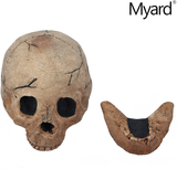 Myard Fireproof Imitated Human Fire Pit Skull Gas Log for NG, LP Wood Fireplace, Firepit, Campfire, Home Decor, BBQ (Qty 1, Brown)