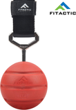 Fitactic Rock Climbing Solid Training Cannonball Bomb Power Pull up Ball Hold Grips for Straps for Finger, Forearm, Biceps, Back Muscles