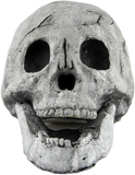 Myard Fireproof Imitated Human Fire Pit Skull Gas Log for NG, LP Wood Fireplace, Firepit, Campfire, Halloween Decor, BBQ (Qty 1, White)