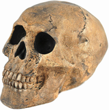 Myard Fireproof Imitated Human Fire Pit Skull Gas Log for NG, LP Wood Fireplace, Firepit, Campfire, Halloween Decor, BBQ (Qty 1, Brown - Mini, One Piece)