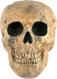 Myard Fireproof Imitated Human Fire Pit Skull Gas Log for NG, LP Wood Fireplace, Firepit, Campfire, Halloween Decor, BBQ (Qty 1, Brown - Mini, One Piece)