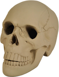 Myard HHS-A Heavy Cement Imitated Paintable Human Skull Art Decor Statue for Home & Garden, Bookends, Headset Stand (Gray)