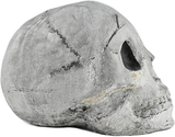 Myard Fireproof Imitated Human Fire Pit Skull Gas Log for NG, LP Wood Fireplace, Firepit, Campfire, Halloween Decor, BBQ (Qty 1, White - Adult, One Piece)