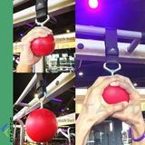 Fitactic Rock Climbing Solid Training Cannonball Bomb Power Pull up Ball Hold Grips for Straps for Finger, Forearm, Biceps, Back Muscles
