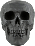 Myard Fireproof Imitated Human Fire Pit Skull Gas Log for NG, LP Wood Fireplace, Firepit, Campfire, Halloween Decor, BBQ (Black - Mini, One Piece)