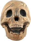 Myard Fireproof Imitated Human Fire Pit Skull Gas Log for NG, LP Wood Fireplace, Firepit, Campfire, Home Decor, BBQ (Qty 1, Brown)