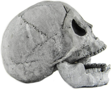 Myard Fireproof Imitated Human Fire Pit Skull Gas Log for NG, LP Wood Fireplace, Firepit, Campfire, Halloween Decor, BBQ (Qty 1, White)