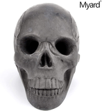 Myard Hollow Eye Sockets Human Skull Fire Gas Log for NG, LP Wood Fireplace, Firepit, Campfire, Home Decor, BBQ (Qty 1, Black)