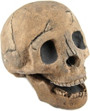 Myard Fireproof Imitated Human Fire Pit Skull Gas Log for NG, LP Wood Fireplace, Firepit, Campfire, Home Decor, BBQ (Qty 1, Brown)