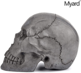 Myard Hollow Eye Sockets Human Skull Fire Gas Log for NG, LP Wood Fireplace, Firepit, Campfire, Home Decor, BBQ (Qty 1, Black)