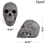Myard Hollow Eye Sockets Human Skull Fire Gas Log for NG, LP Wood Fireplace, Firepit, Campfire, Home Decor, BBQ (Qty 1, Black)