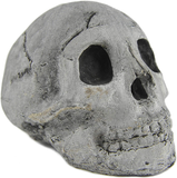 Myard Fireproof Imitated Human Fire Pit Skull Gas Log for NG, LP Wood Fireplace, Firepit, Campfire, Halloween Decor, BBQ (Qty 1, White - Adult, One Piece)