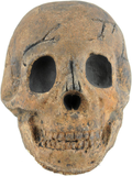 Myard Fireproof Imitated Human Fire Pit Skull Gas Log for NG, LP Wood Fireplace, Firepit, Campfire, Halloween Decor, BBQ (Qty 1, Brown - Adult, One Piece)