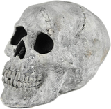 Myard Fireproof Imitated Human Fire Pit Skull Gas Log for NG, LP Wood Fireplace, Firepit, Campfire, Halloween Decor, BBQ (Qty 1, White - Mini, One Piece)