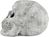 Myard Fireproof Imitated Human Fire Pit Skull Gas Log for NG, LP Wood Fireplace, Firepit, Campfire, Halloween Decor, BBQ (Qty 1, White - Mini, One Piece)