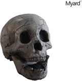 Myard Fireproof Imitated Human Fire Pit Skull Gas Log for NG, LP Wood Fireplace, Firepit, Campfire, Halloween Decor, BBQ (Qty 1, Aged Dark Grey Skull)