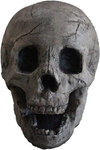 Myard Fireproof Imitated Human Fire Pit Skull Gas Log for NG, LP Wood Fireplace, Firepit, Campfire, Halloween Decor, BBQ (Qty 1, Aged Dark Grey Skull)